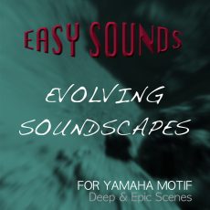 Evolving Soundscapes